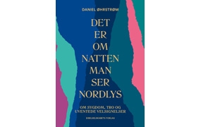 Det er om natten man ser nordlys