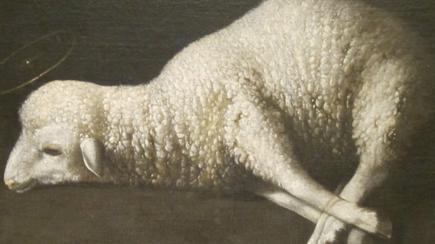 Jesus blev beskrevet som offerlammet. Udover får og lam blev også okser, geder og duer brugt som offerdyr, fortæller Anne Katrine Gudme. Maleriet kaldes "Agnus Dei" eller Guds Lam og er malet af Francisco de Zurbaran. Foto: Wikimedia Commons.