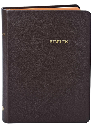 Bibelen_mellem_brun