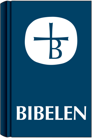 E-bog: Bibelen.