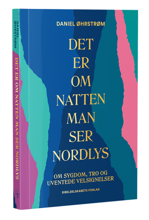 Det er om natten man ser nordlys
